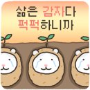 안양예술김밥