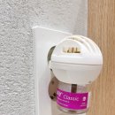 목동찬동물의료센터 이미지