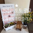 토토키친 | [아이랑 갈만한 곳] 고마워 토토 광교 '꽃에서 찾은 물감'(숲체험&쿠킹클래스) 자연에서 얻은 색깔