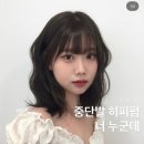 헤이미헤어 이미지