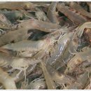 동해안횟집 - 동구 녹수7길 35 | 동해안횟집