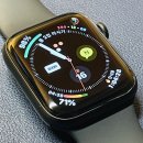 프라이어 휘트니스(6 스크린 포함)(495) | 애플워치6 셀룰러 44mm 스페이스 그레이 일주일 사용기(를 빙자한 애플 서비스 수준 짜증난다는 글)