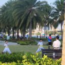 선비태권도 이미지