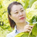 달감마트 이미지