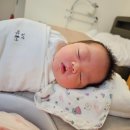 메르디앙 산후조리원 이미지