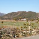 대덕읍사무소 이미지