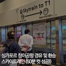 T3밸리 | 싱가포르 창이공항 경유 환승 방법 스카이트레인 소요시간 (50분 컷 성공)