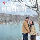 새하얀세상 | 삿포로 비에이 투어 인디고 트래블 버스투어 코스 대만족 후기