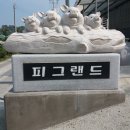 선규농장 Daum카페