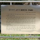 경주이씨 효부각 티스토리