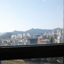 피스텔 이미지