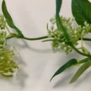 창권농장 이미지