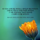 눈부신하루를 이미지