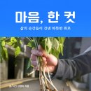 디카시 북 만들기 이미지