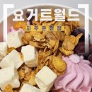 월드포장 | [파주/운정] 요거트월드 동패동 카페, 파주 아이스크림 디저트 포장 후기