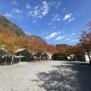 우리두리캠핑장 이미지