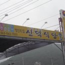 선운장어 이미지