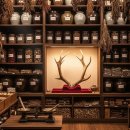 장수녹용 | 녹용의 효능과 부작용 신의 뿔이라 불리는 이 음식