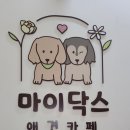 마이닥스