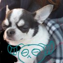 친구네PC방 이미지