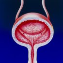 해온동물의료센터 이미지