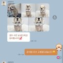 샤워하개 이미지
