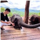 월은농장 | 30개월 아기랑 치앙마이 2주살기 여행준비 [출국 D-4, 주차대행 예약, 즐길거리, 투어]