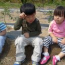 참빛농장 이미지