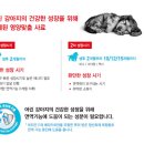 로얄퍼피 이미지