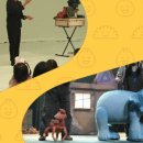 인형극 페스티벌 이미지