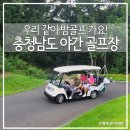 아리스타컨트리클럽 | 우리 같이 밤골프가요!충청남도 야간 골프장!(최신ver)아리스타cc, 스톤비치cc, 파인스톤cc, 보령베이스...
