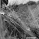 NOT ALONE HERE 이미지