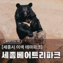 세종 가볼만한곳 베어트리파크, 당근 필수 곰 먹이주기 체험 후기 (내돈내산)