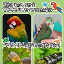 애니멀샵 이미지