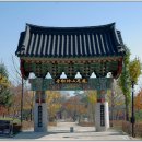 여주-1038 티스토리