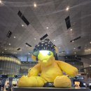 호롱불마을 | 요르단 이집트 인솔 후기_요르단 페트라 편