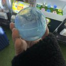 세븐게러지 | 2박 3일 뚜벅이 부산 여행