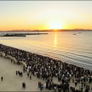 율포솔밭해변1 이미지