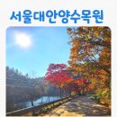 문창시장 개방화장실 | [공지] [아이와 가볼만한곳] 서울대 안양수목원 전면개방후기, 단풍 주차정보(20251105방문)