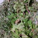 오늘반찬 이미지