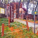 GS25장항솔바람점 이미지