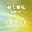 다이어트미