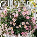 (주)공감 이미지