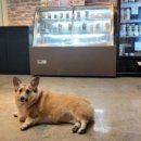 오간식영등포점 이미지