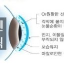 비엔나안경 이미지
