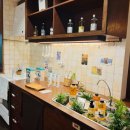 씨오르 리조트 이미지