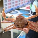포항회식당，포항활어