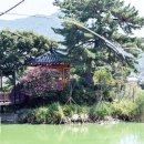 다섯 개의 섬 이미지