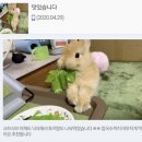 뭉짱 | 매일 나가는 i 어떤데