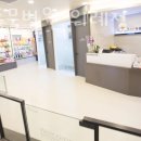 365동물병원 이미지